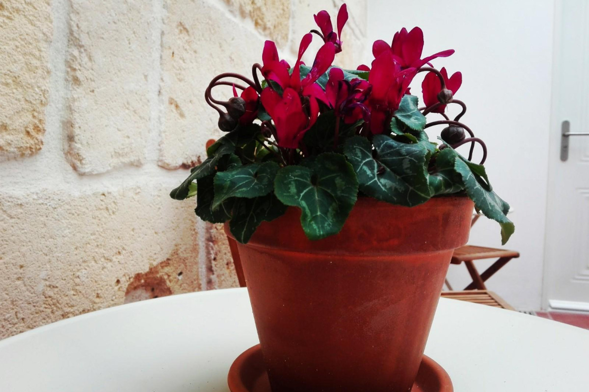 My Rooms Ciutadella - Adults Only By My Rooms Hotels