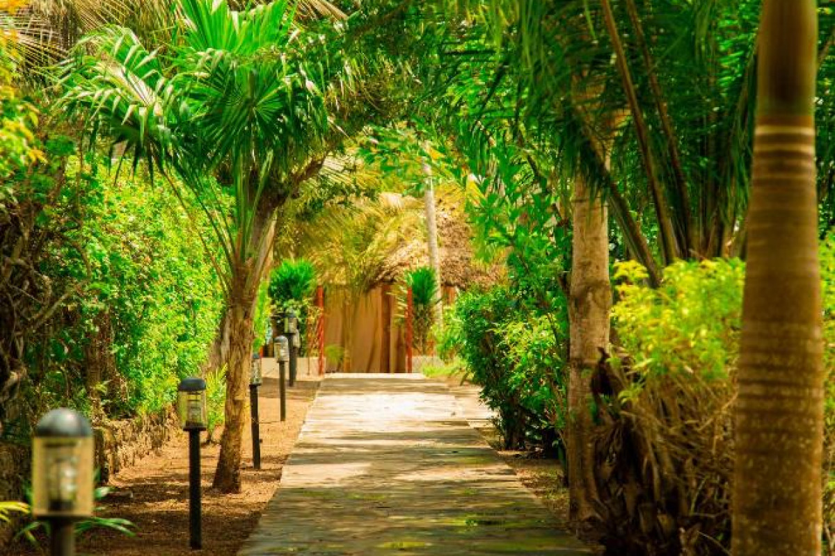 Mzima Beach Resort