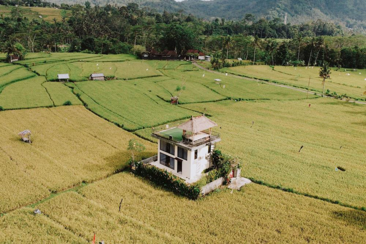 Natural View Sidemen Cottage