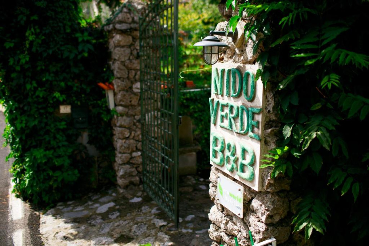 Nido Verde