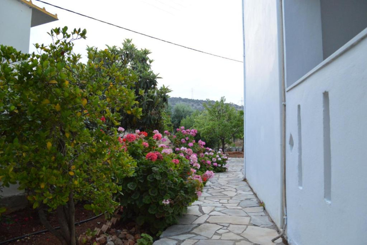 Nikos Apartments Stalis