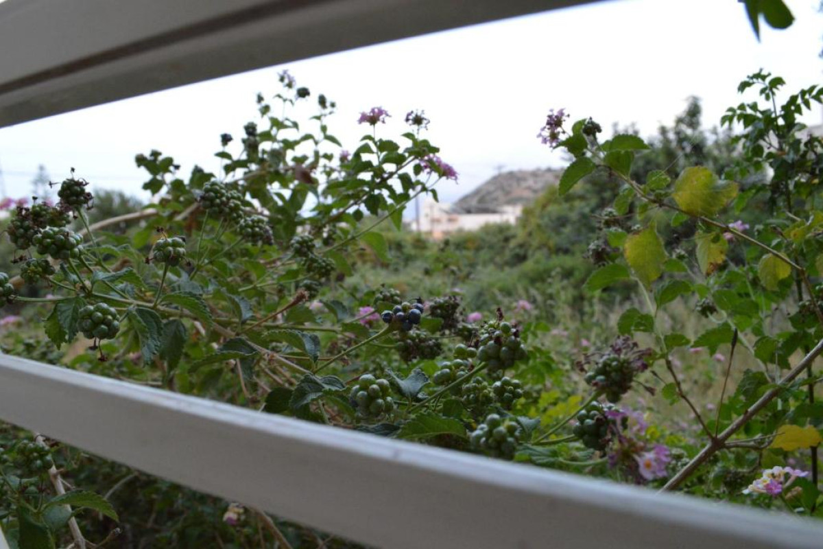 Nikos Apartments Stalis