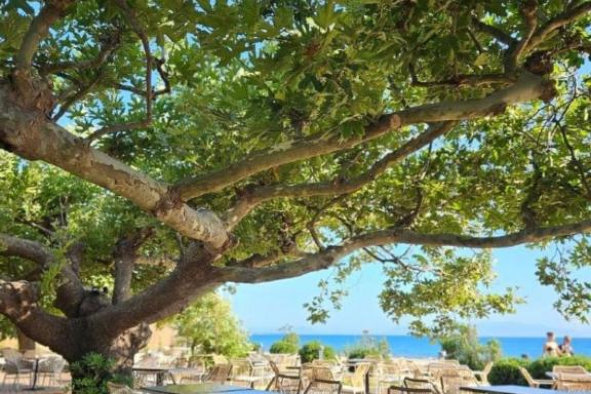 Ninos Grand Beach  Resort