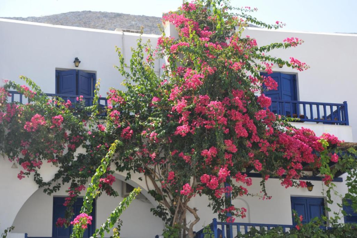 NOSTOS STUDIOS AND APARTMENTS