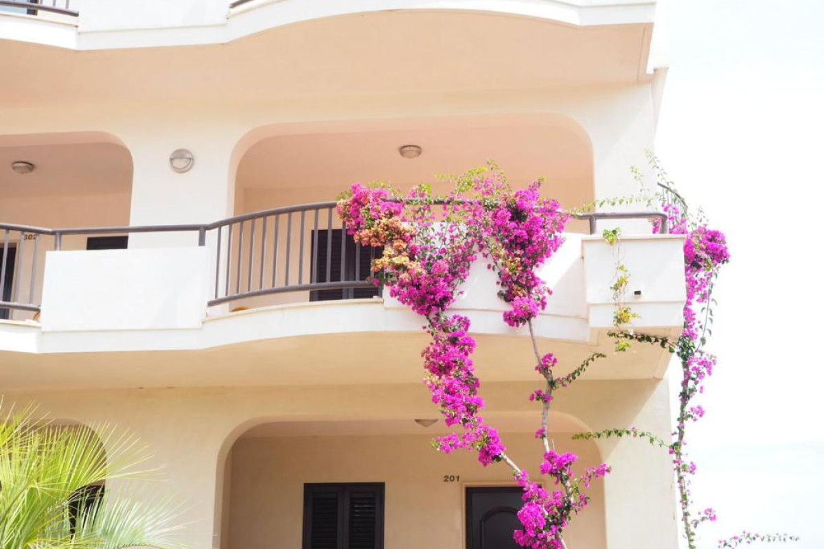 Oasi Club Hotel