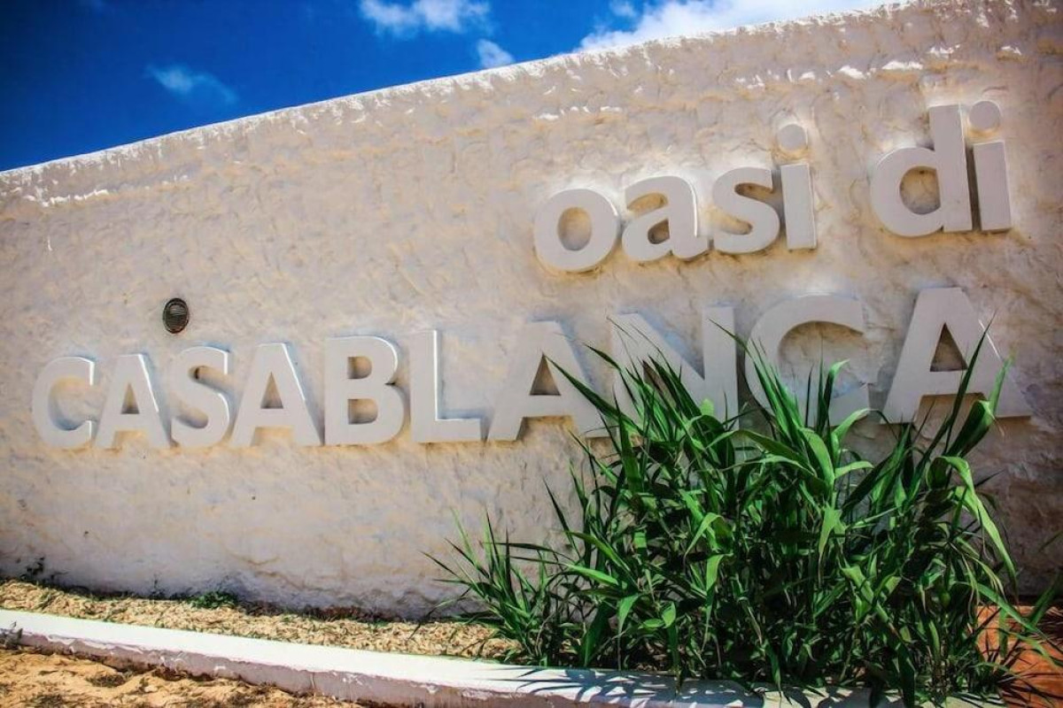Oasi Di Casablanca