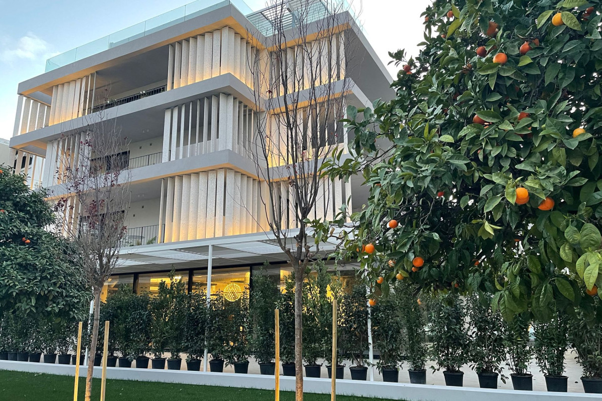 Ogarden Athens