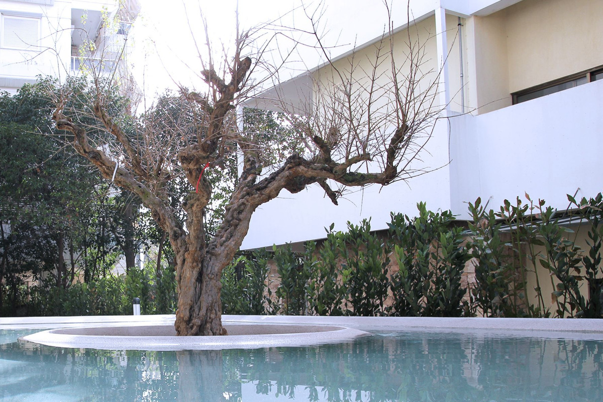 Ogarden Athens