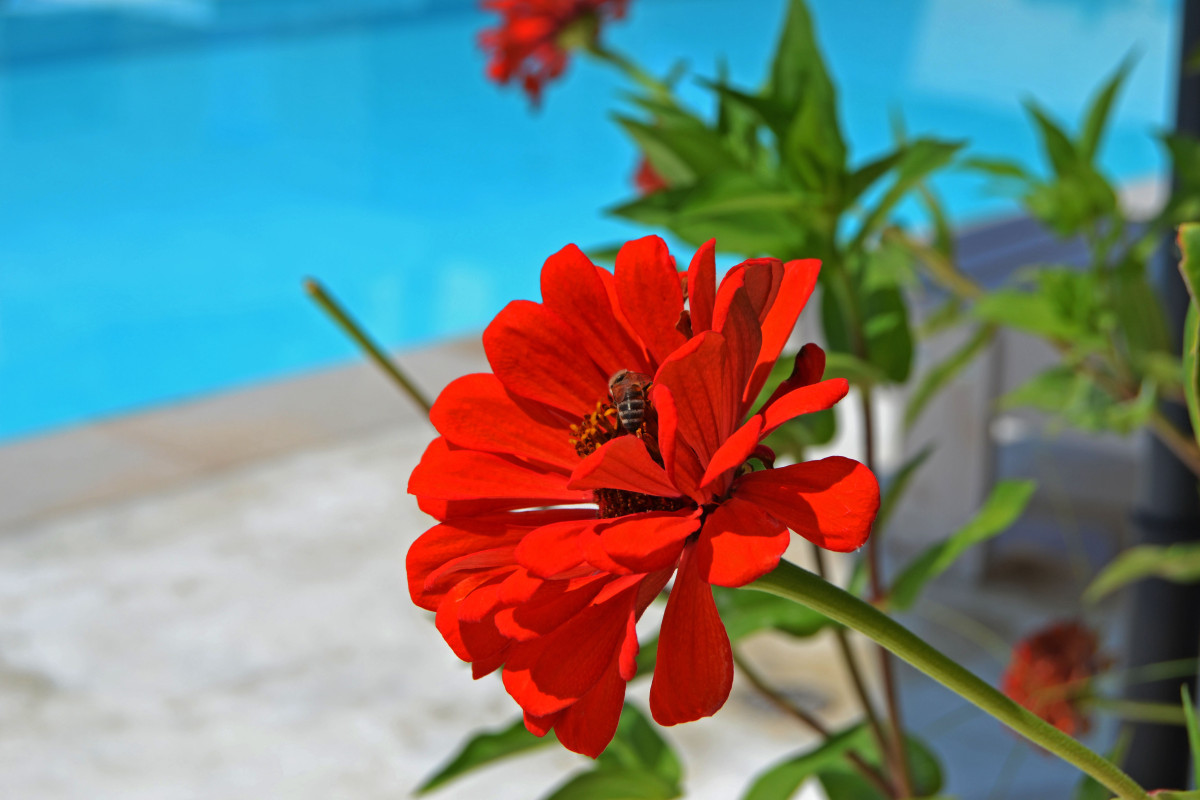 Olga Lounge Hotel