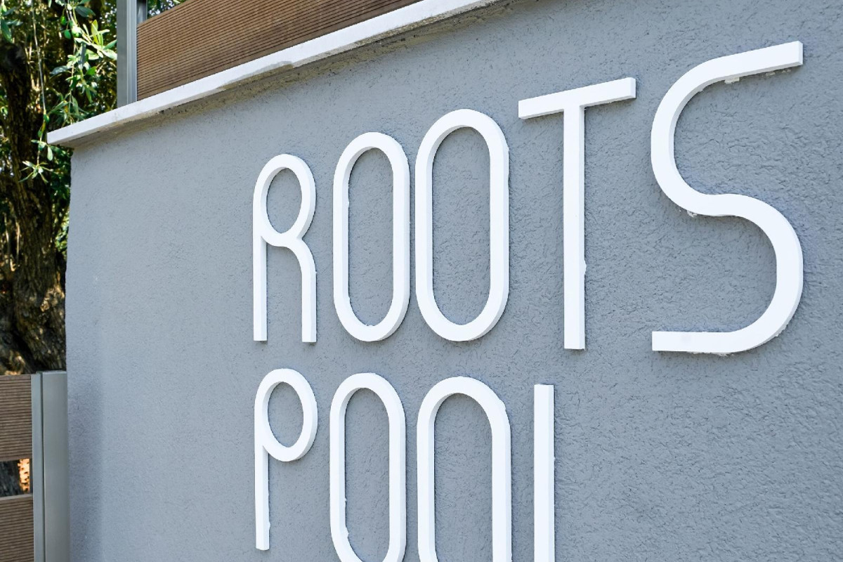 Olive Roots