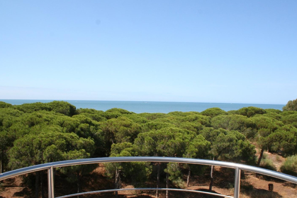 On Family Islantilla