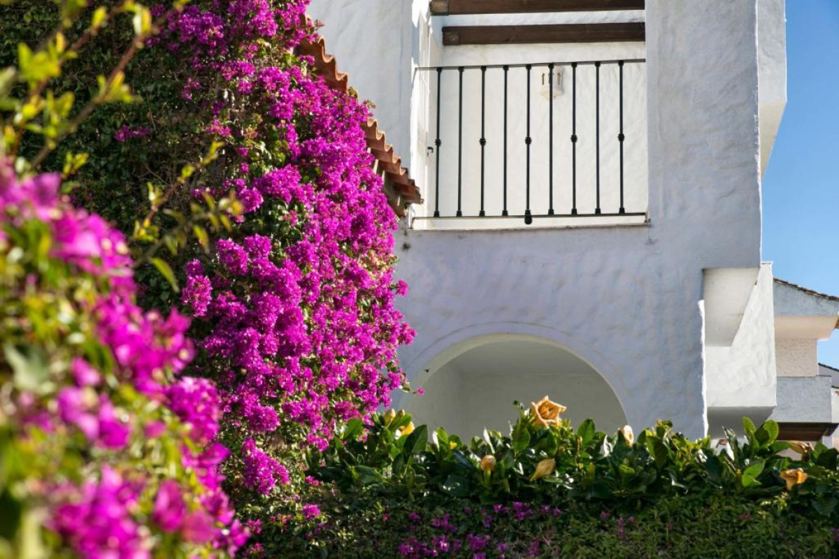 ONA CLUB BENA VISTA