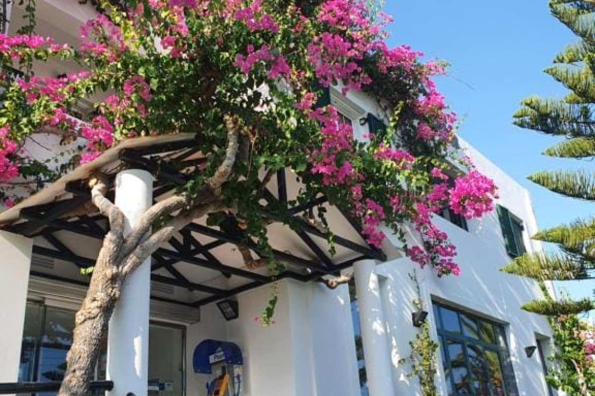 Oscar Hotel Zante