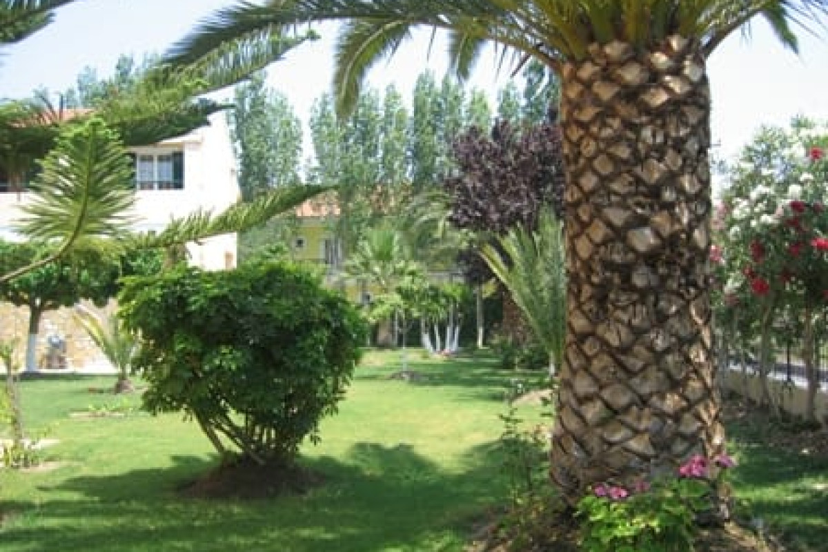 Oscar Hotel Zante