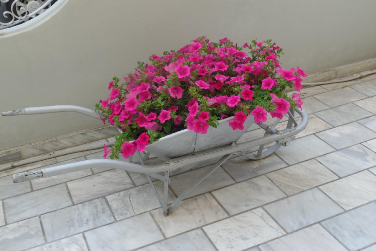 OUZAS HOTEL - OLYMPIC BEACH