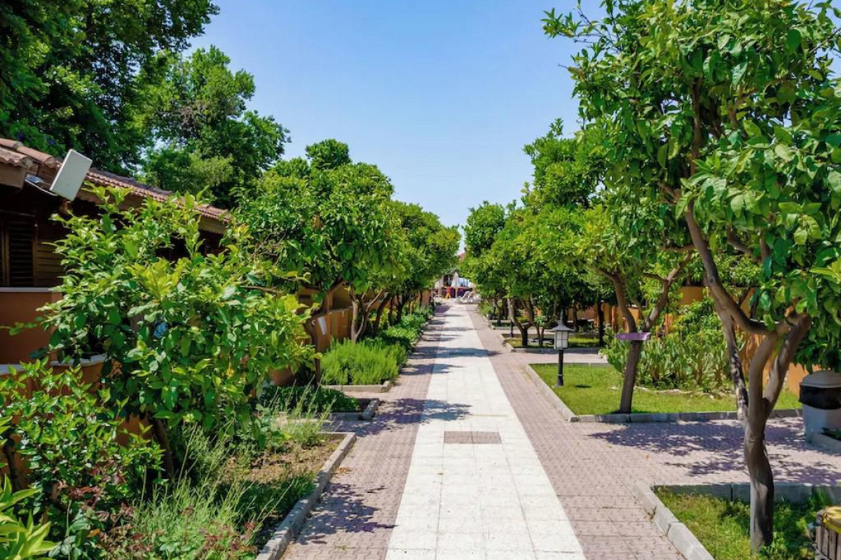OZLEM GARDEN
