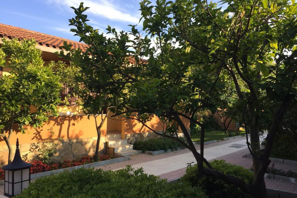 OZLEM GARDEN
