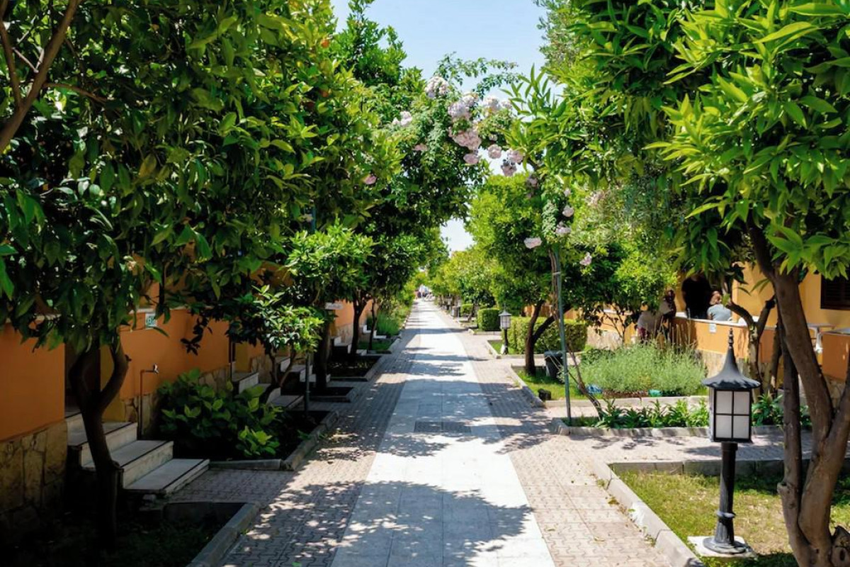 OZLEM GARDEN