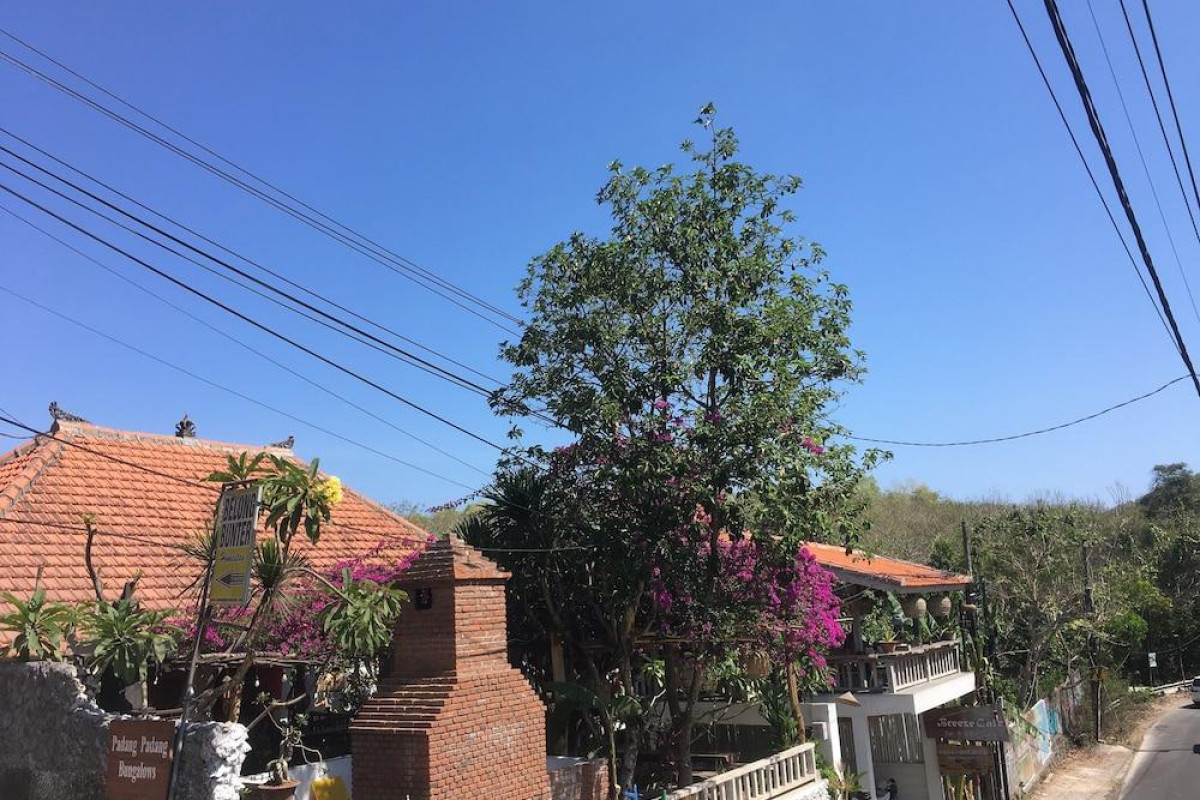 Padang Padang Breeze