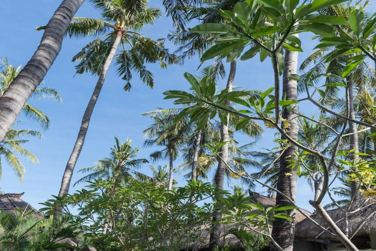 Palm Garden Amed Beach & Spa Resort Bali