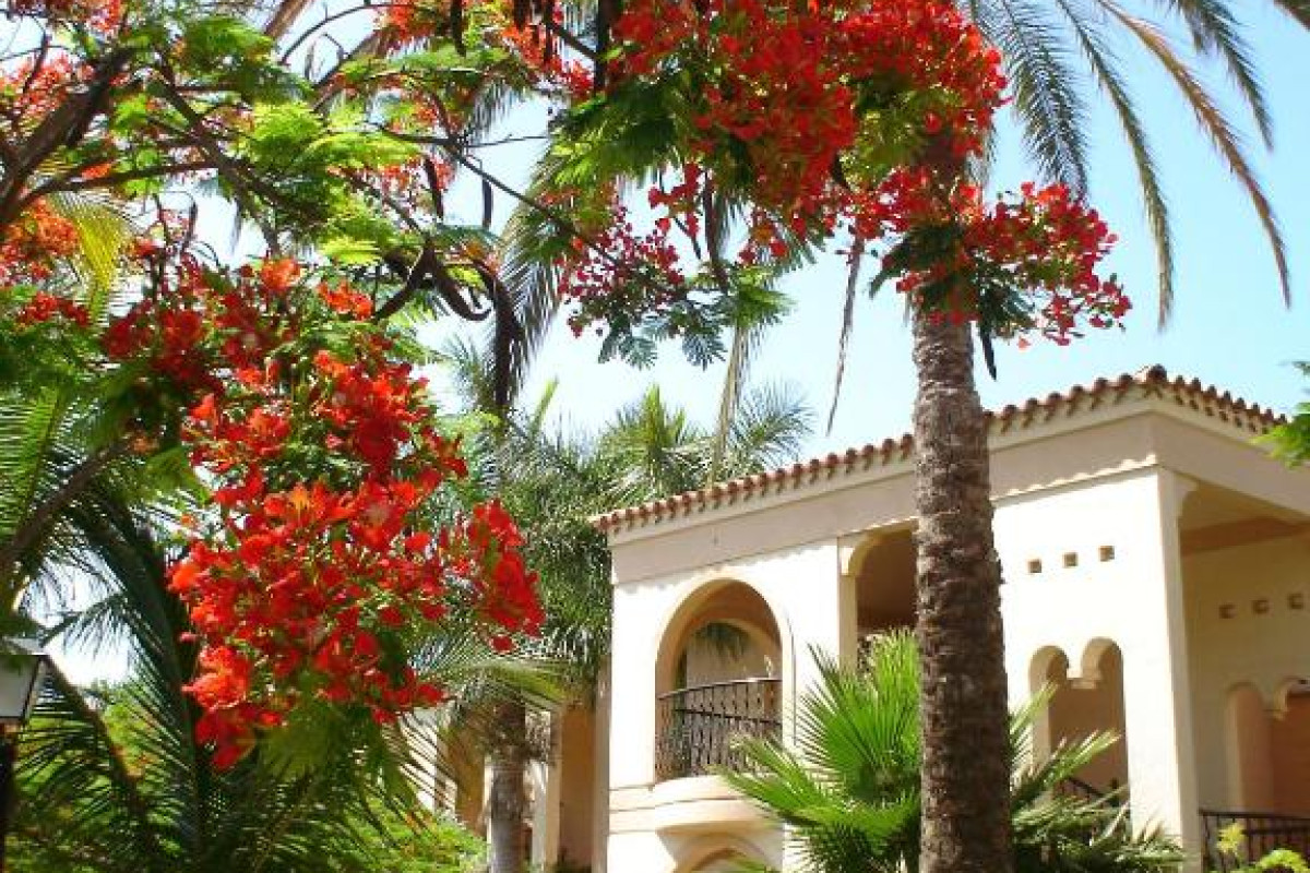 Palm Oasis Maspalomas
