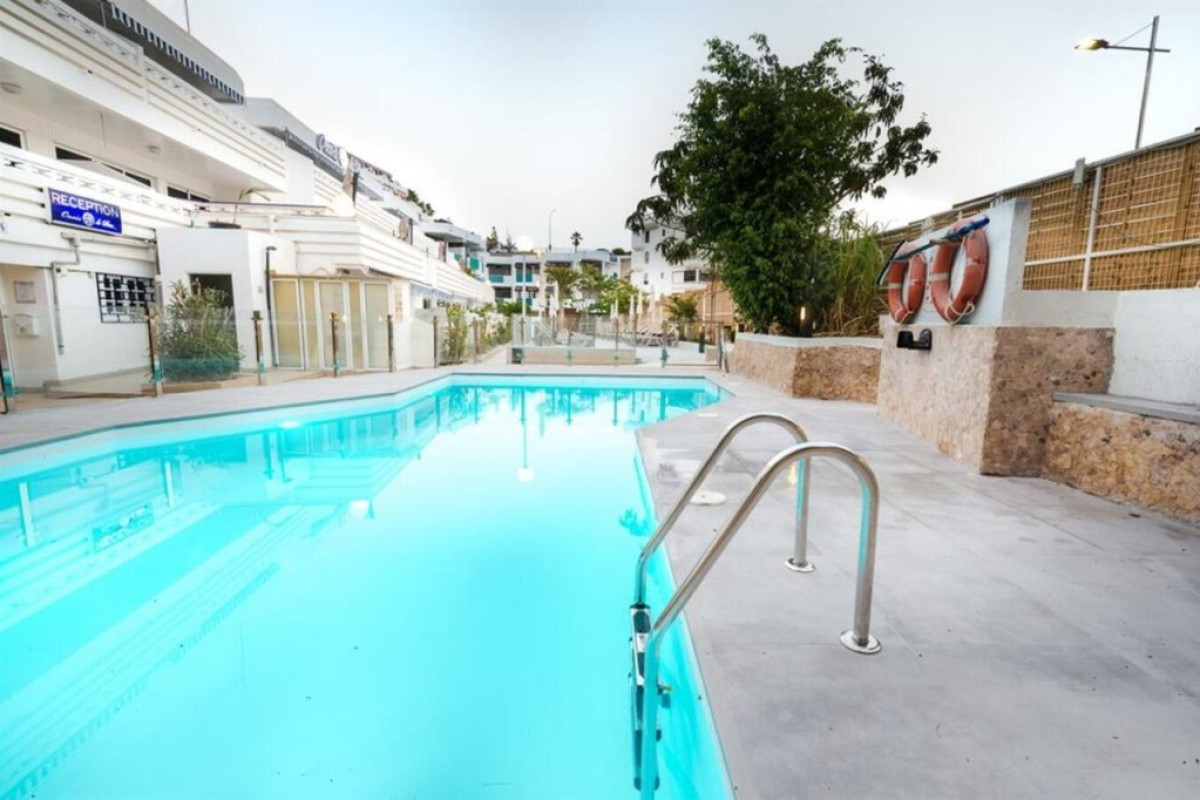 Palm Suites