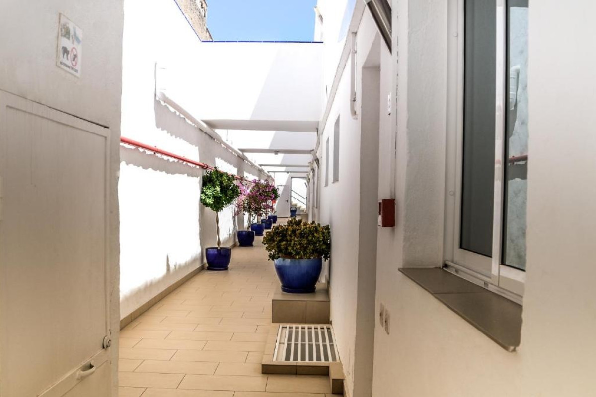 Palm Suites