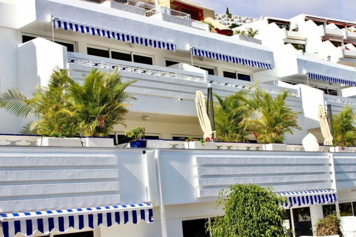 Palm Suites