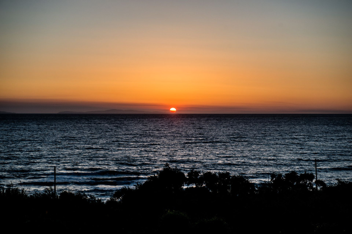 Palmina Mare Studios