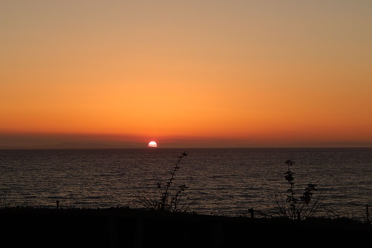 Palmina Mare Studios