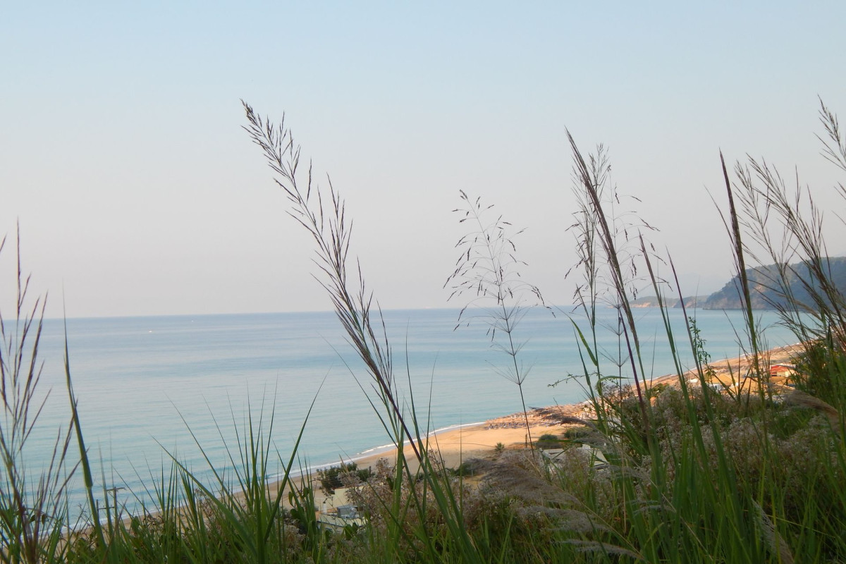 Palmina Mare Studios
