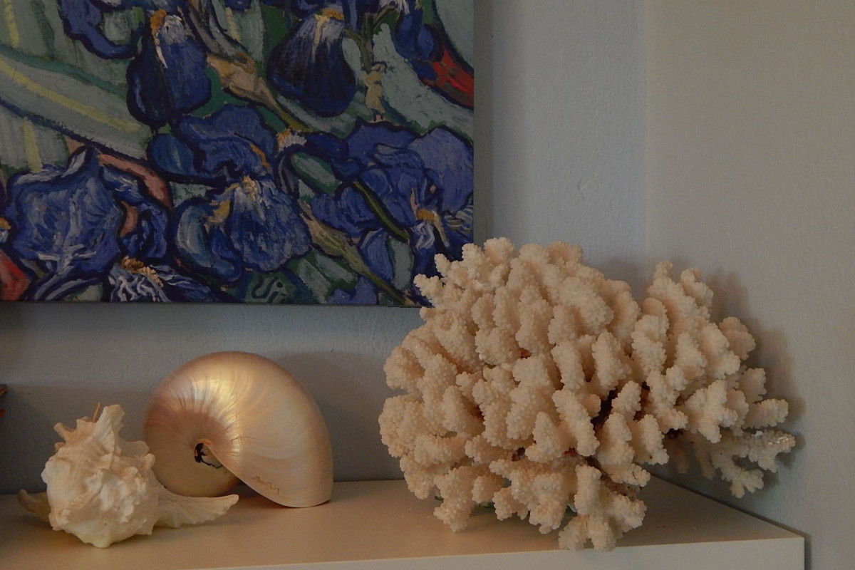 Palmina Mare Studios