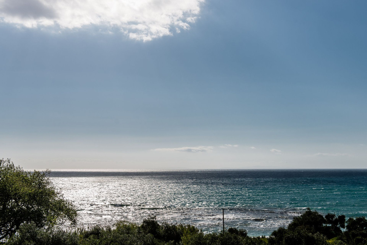 Palmina Mare Studios