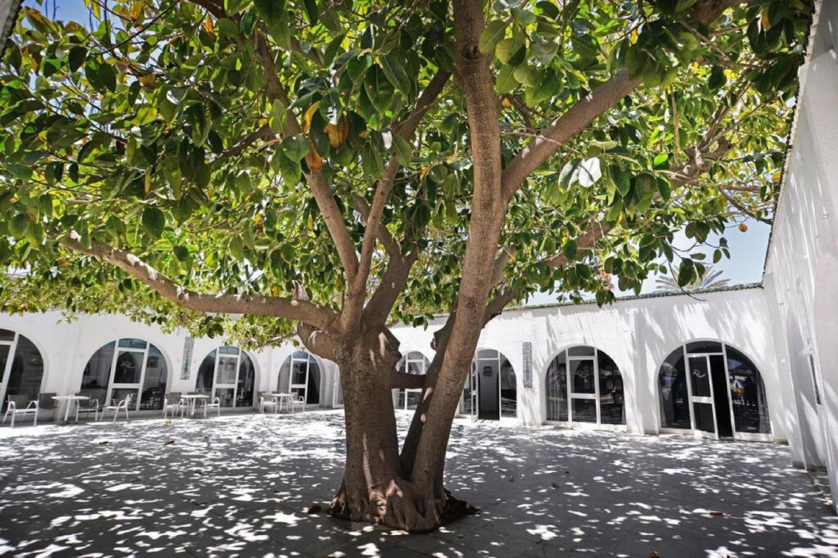 Palmyra Club Nabeul