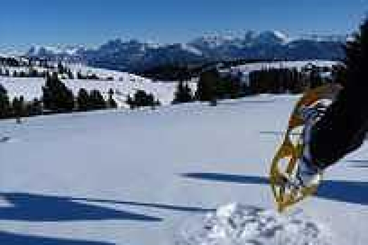 Panorama Wellnesshotel Feldthurnerhof
