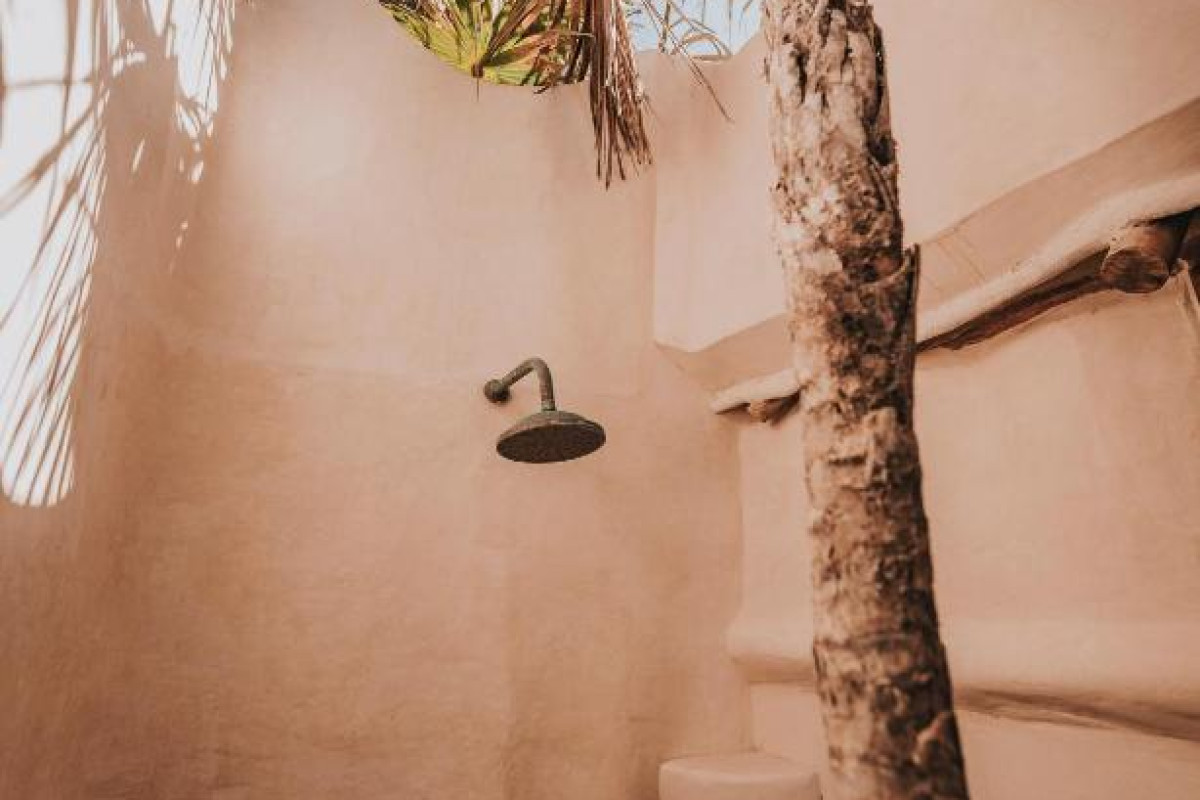 Papaya Playa Project