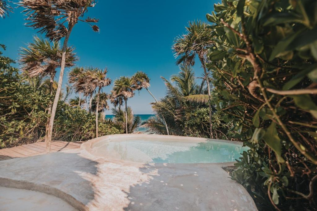 Papaya Playa Project