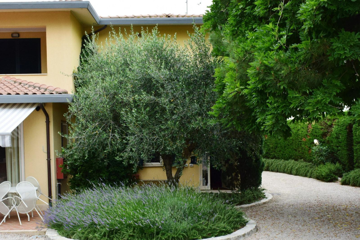 Park Hotel Montigeto