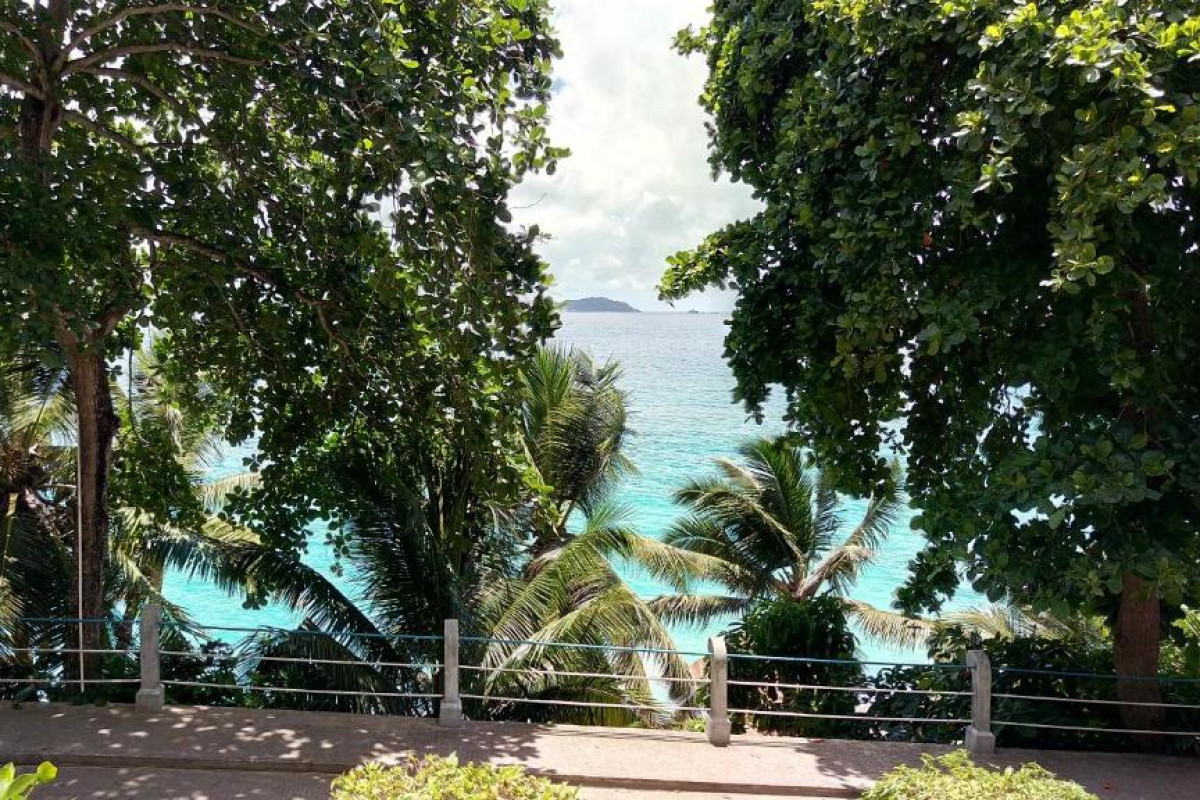 Hotel Patatran Village