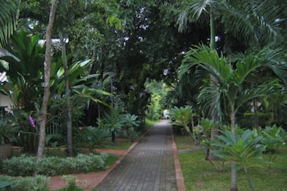 PATTAYA GARDEN