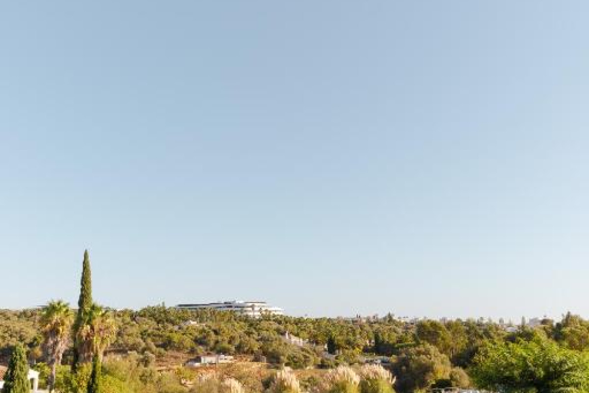 Pelican Alvor