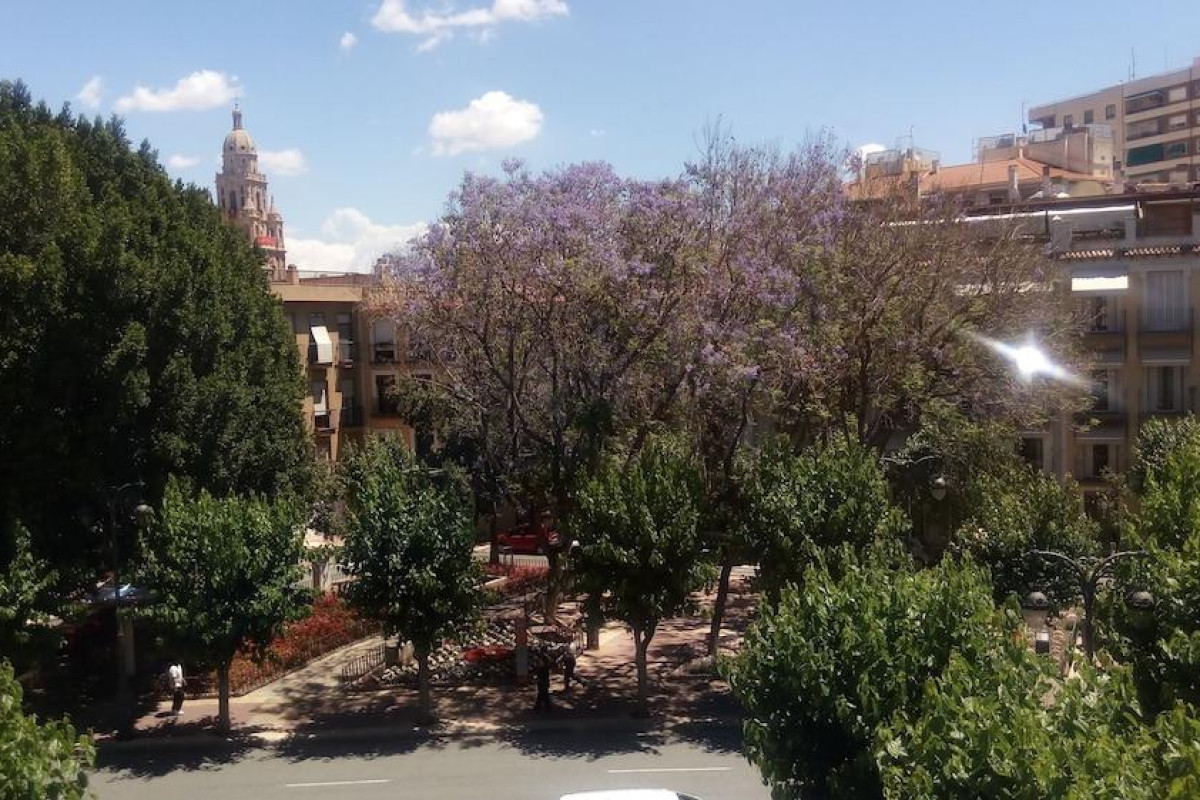 Pensión Segura