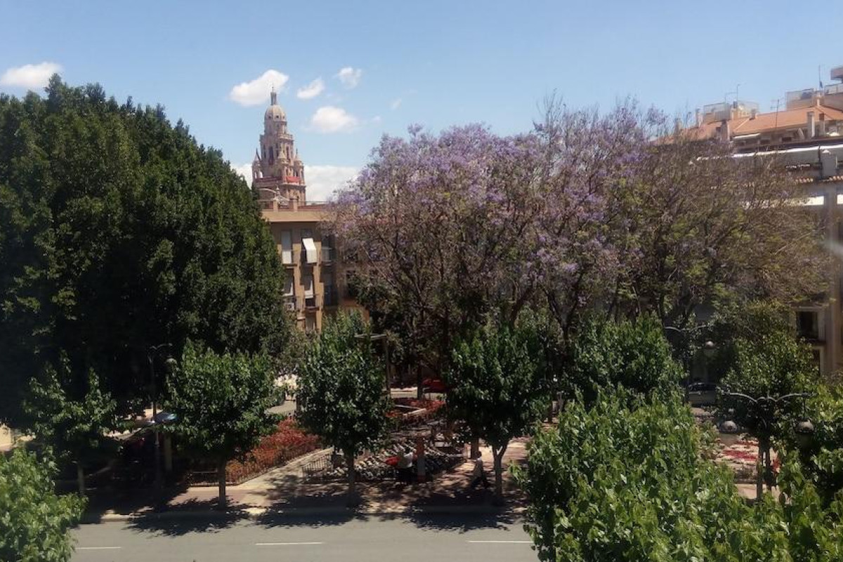 Pensión Segura