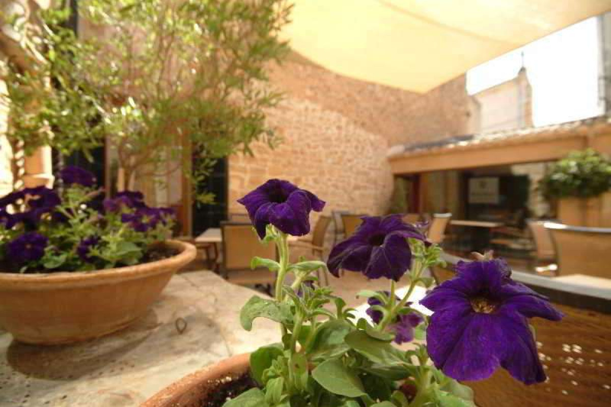 Petit Hotel Can Simo