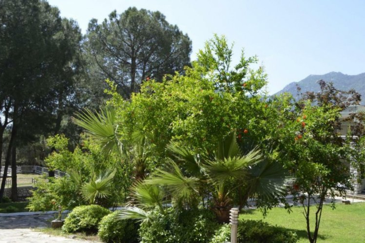 PINE BEACH HOTEL TURUNC