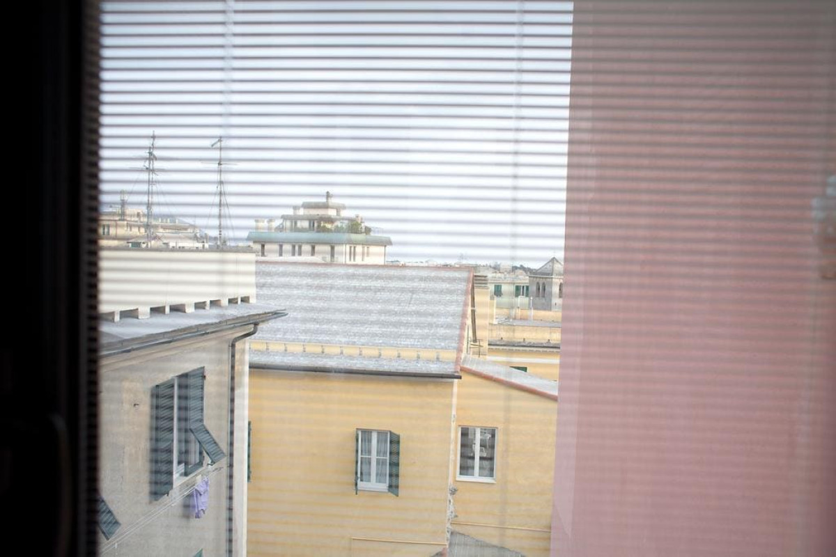 Piume Verdi