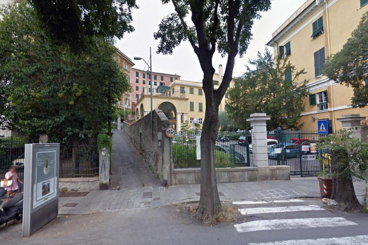 Piume Verdi