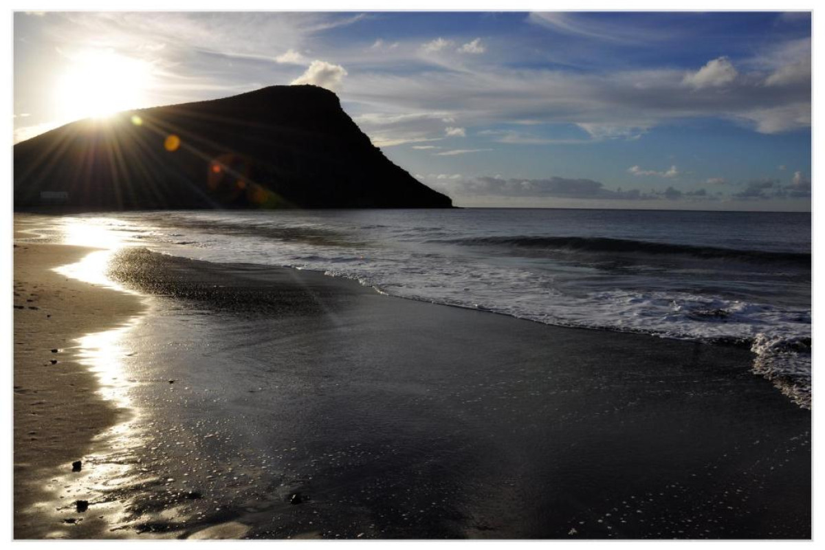 Hotel Playa Sur Tenerife