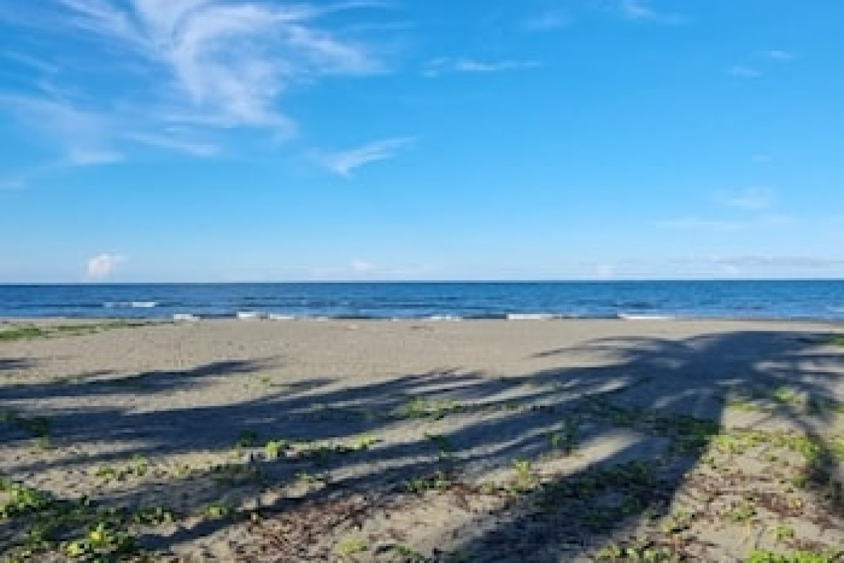 PLAYA WESTFALIA