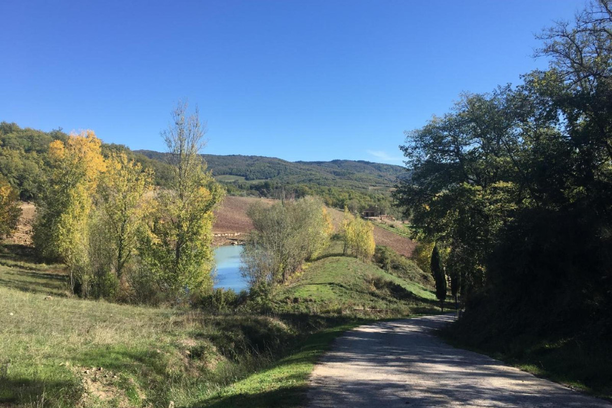 Podere Terreno Alla Via Della Volpaia
